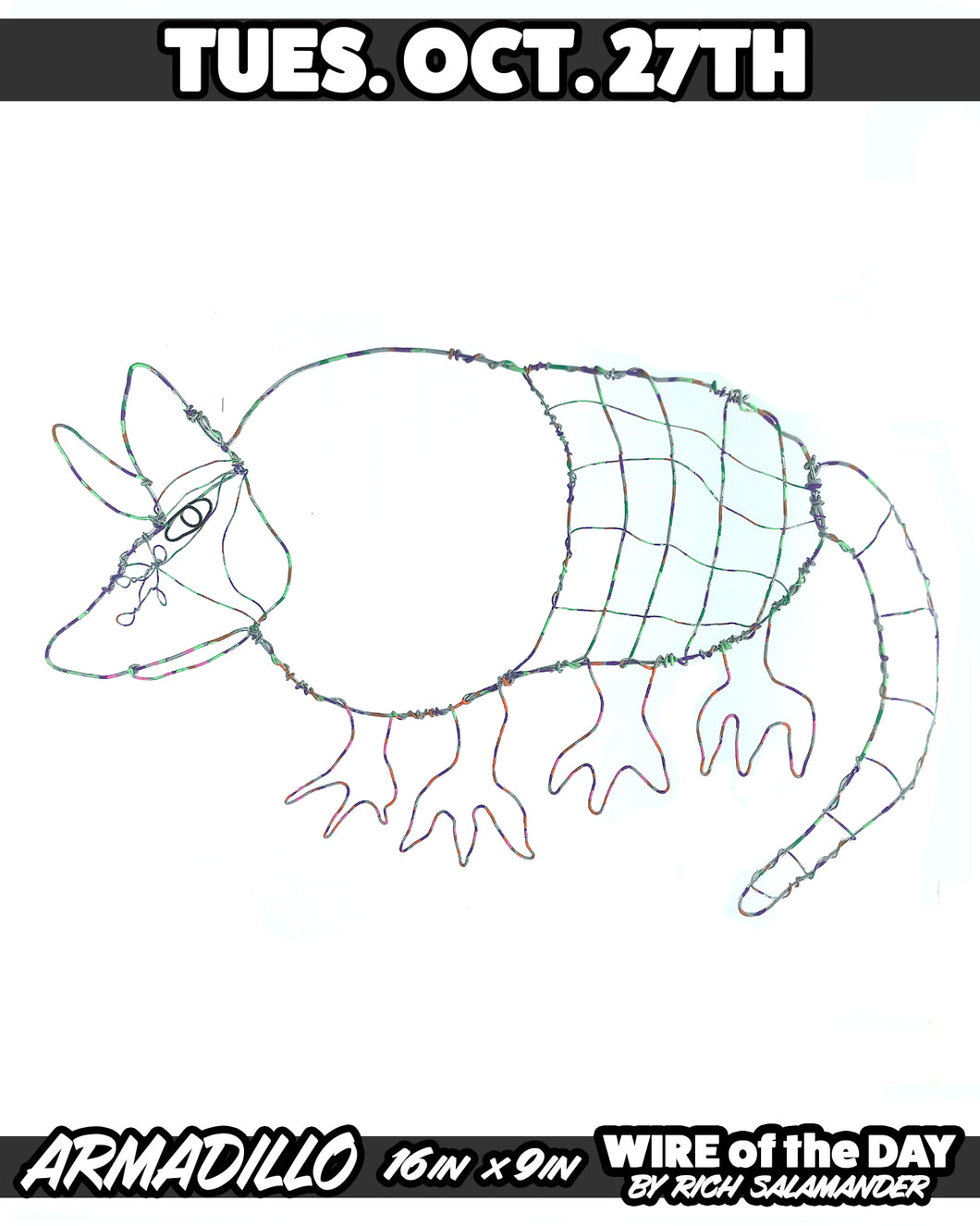 WIRE of the DAY ARMADILLO
