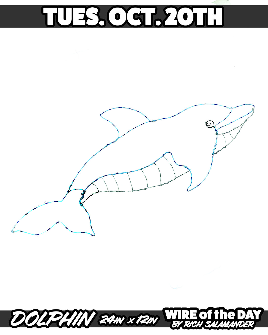 WIRE of the DAY DOLPHIN