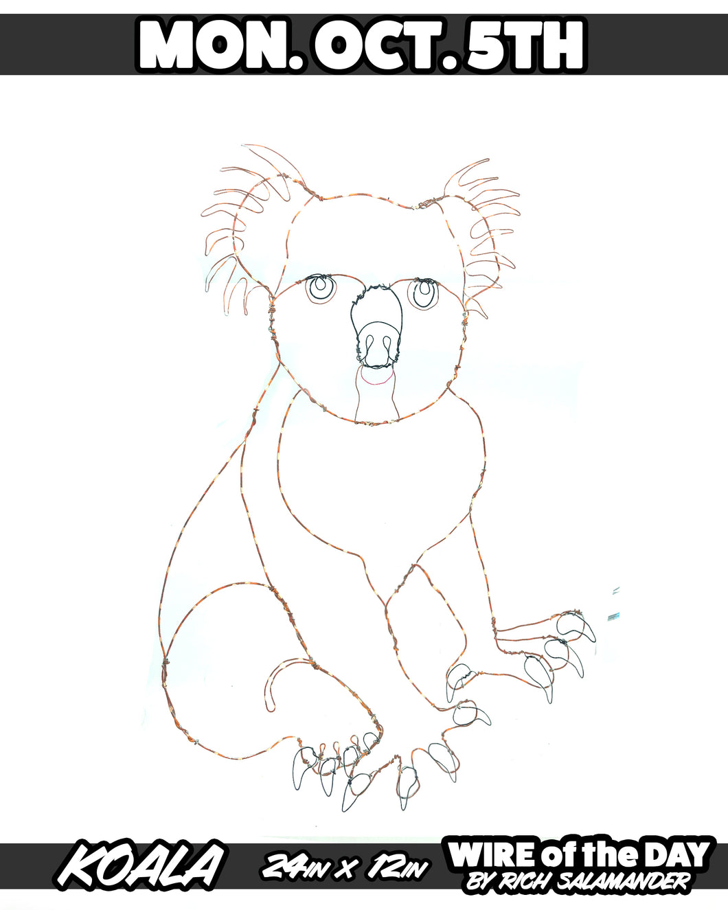 WIRE of the DAY KOALA