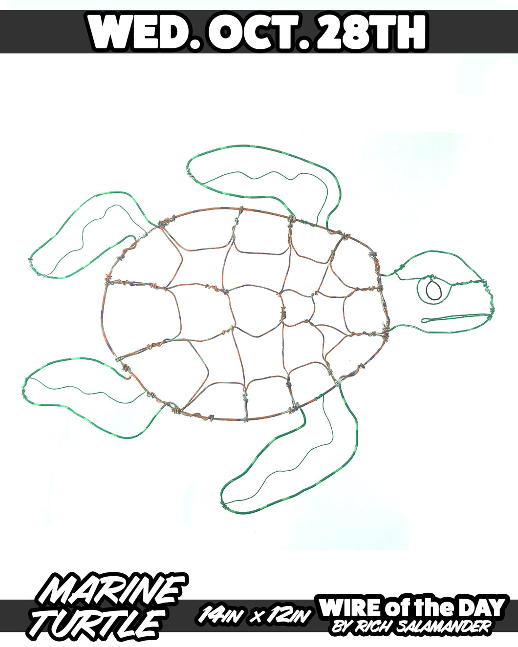 WIRE of the DAY MARINE TURTLE