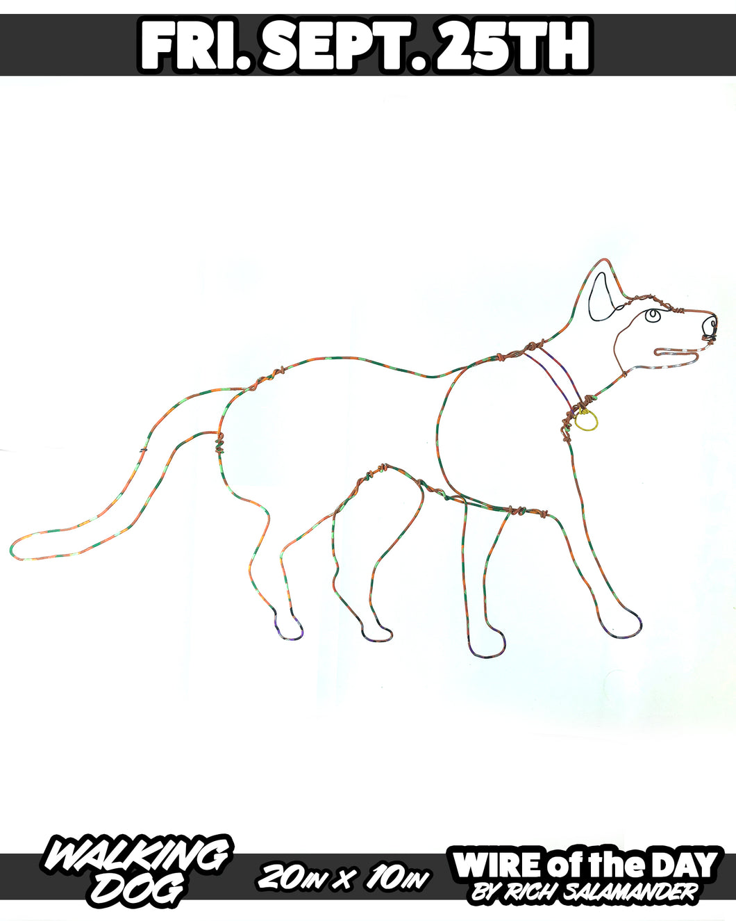 WIRE of the DAY WALKING DOG